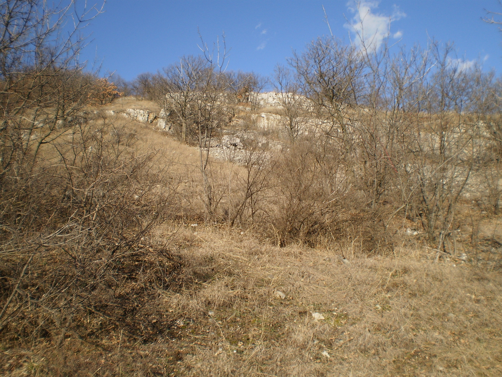 20100227Túrony-Bisse-Csarnóta 102