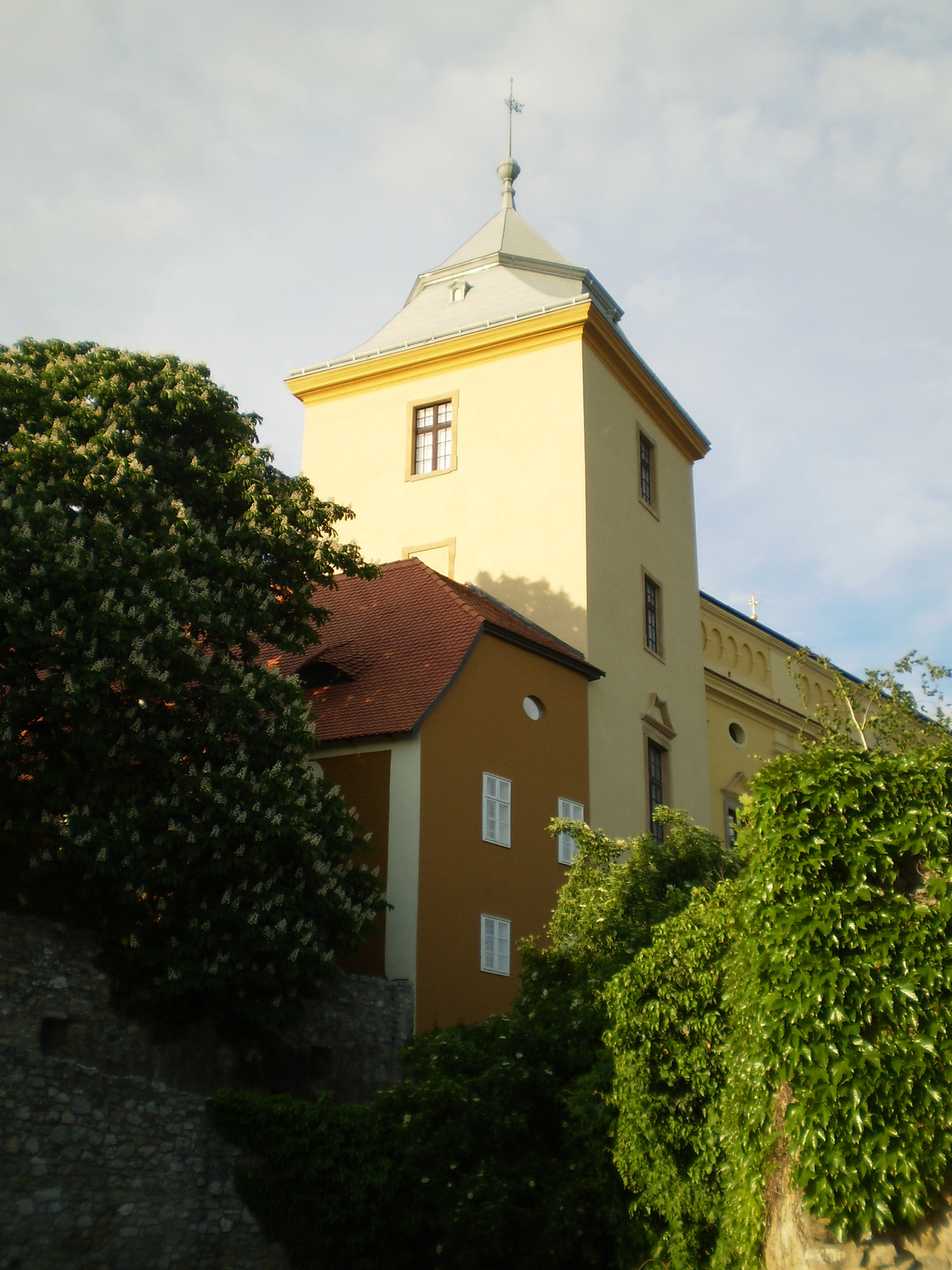 20100509PÉCS 203