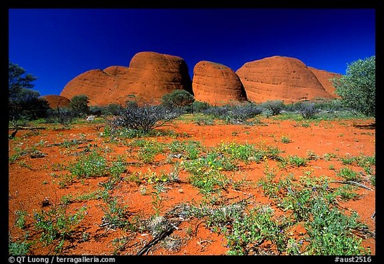 Olgas, mid-day.