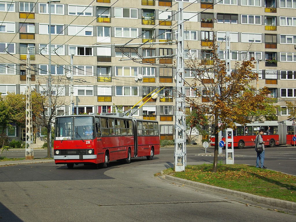 Ikarus 280T az Örs vezér téren 2 2008.10.12