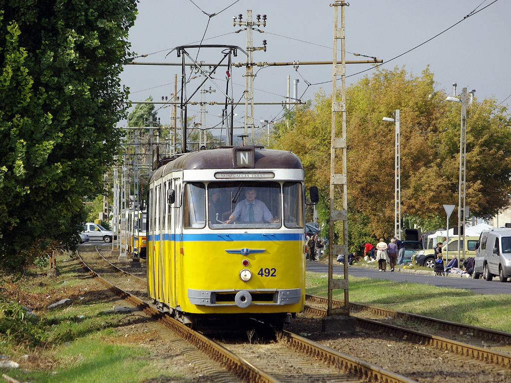 Bengáli a Salgótarjáni úton (a troligarázsnál)03 2012.09.29