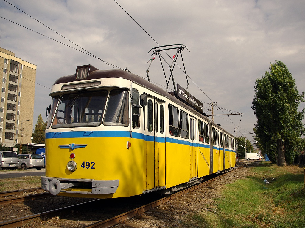 Bengáli a Salgótarjáni úton (a troligarázsnál)24 2012.09.29