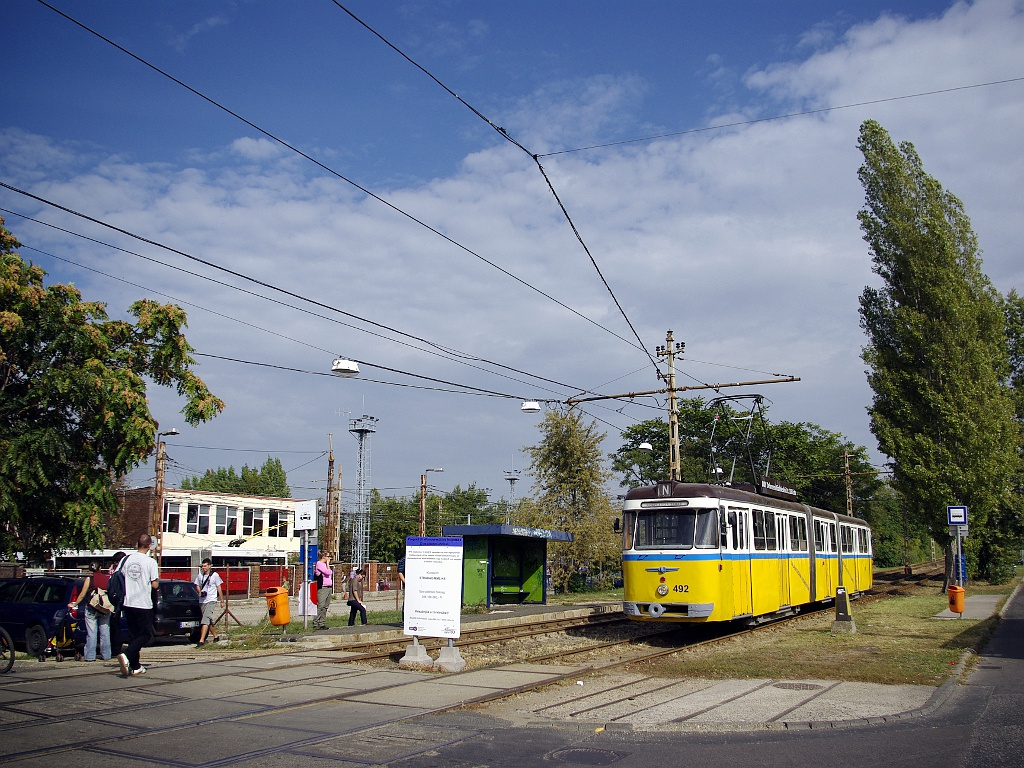 Bengáli a Salgótarjáni úton (a troligarázsnál)35 2012.09.29