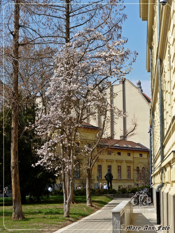 Szeged 048