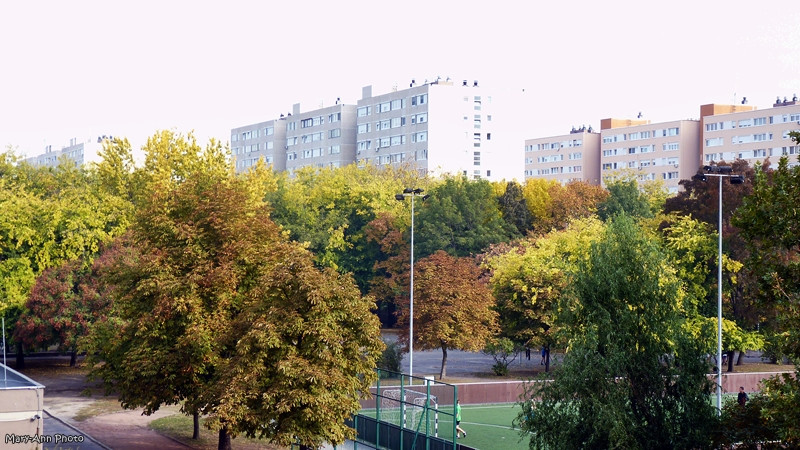 panoráma