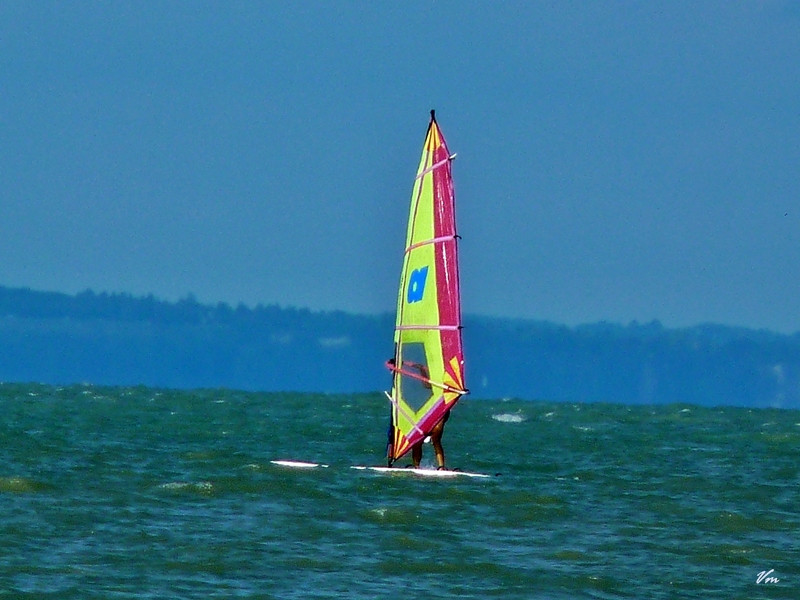 Panasonic balaton 045