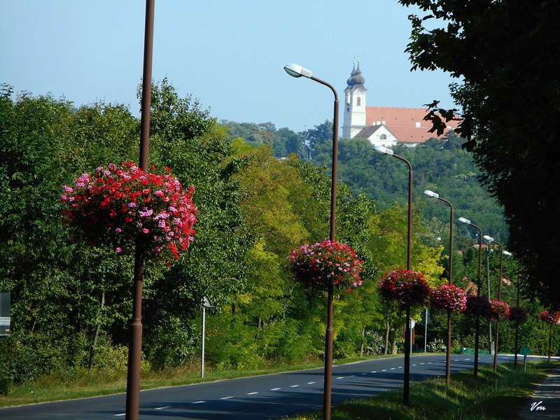 nikon balaton 015