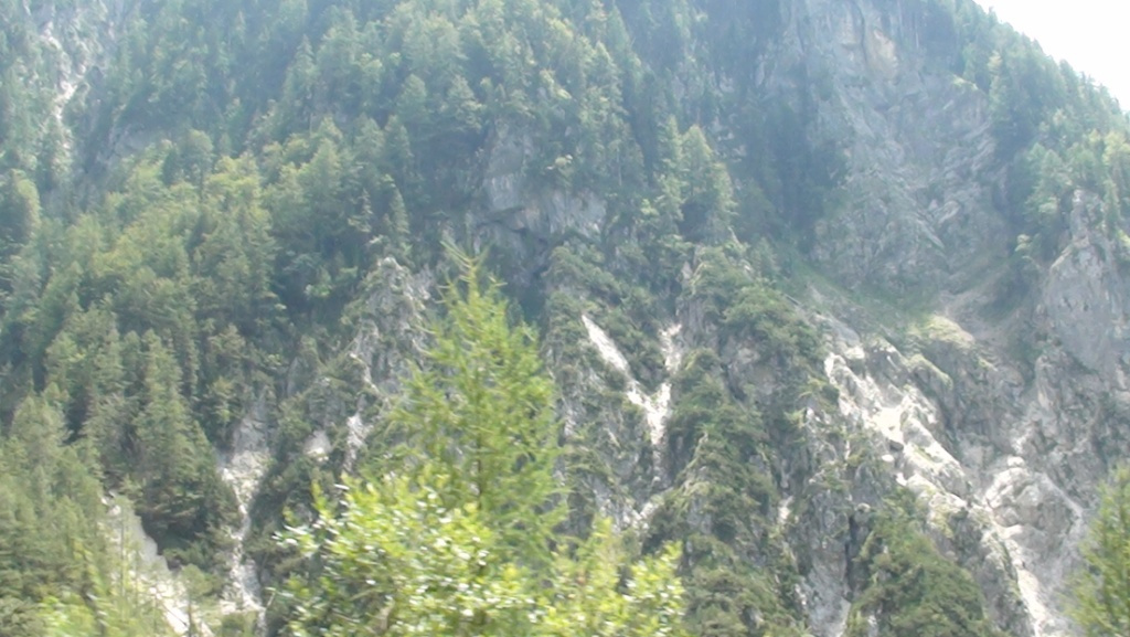 156 0382 Kranjska Gora