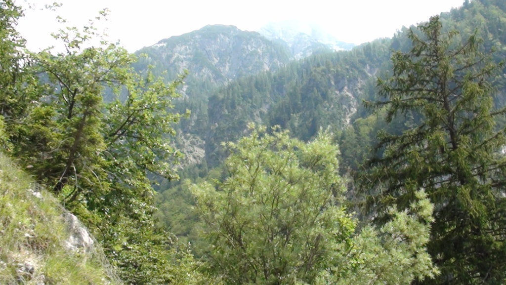 159 0385 Kranjska Gora