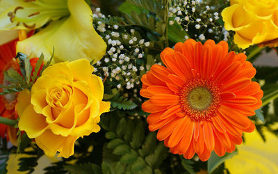 roses-and-gerbera-6611-400x250