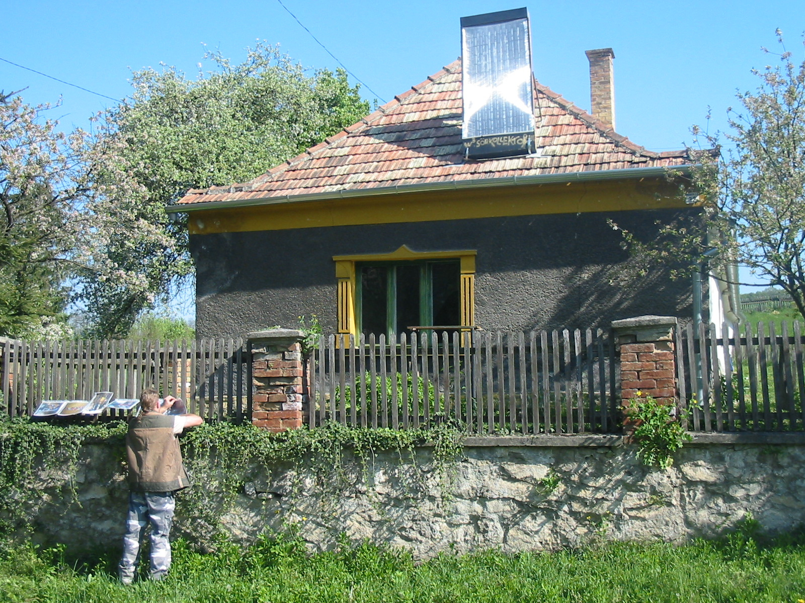 sörkoli bemutató