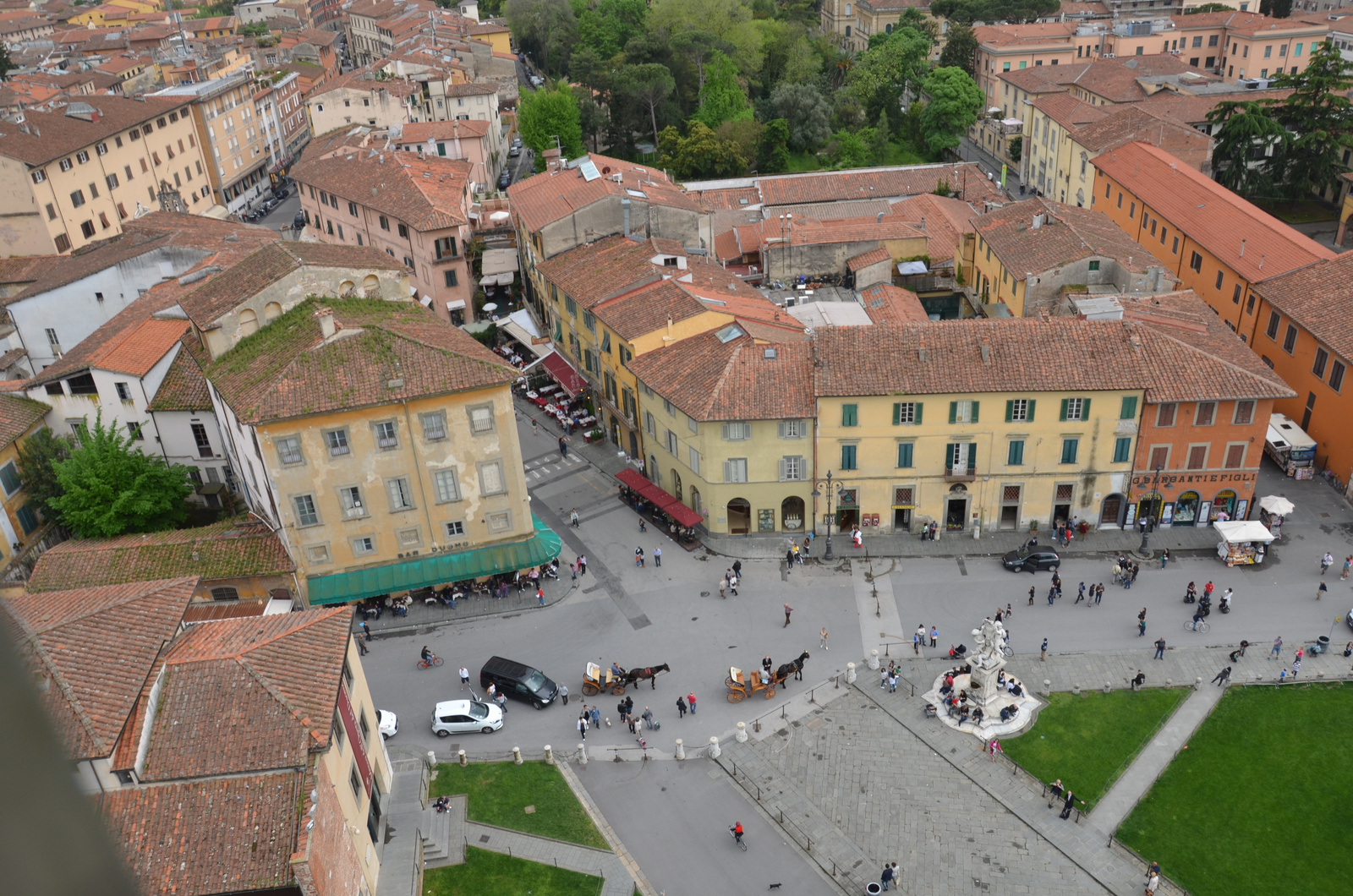 Pisa (15)