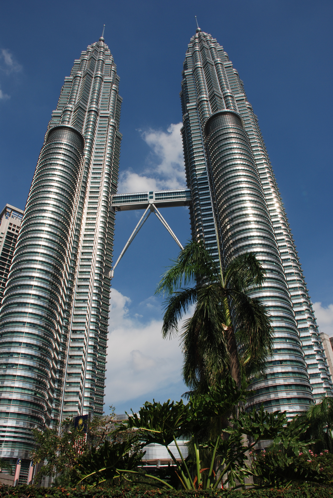 Petronas Towers 4