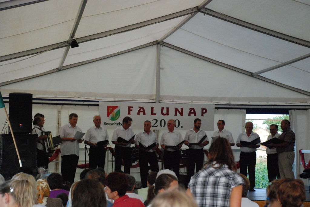 Falunap 2010. 335