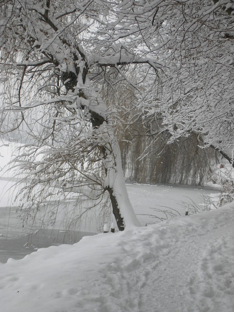 Malomvölgyi tó 050