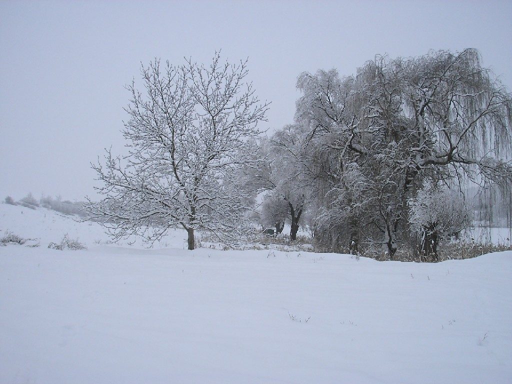 Pogányi tó 005