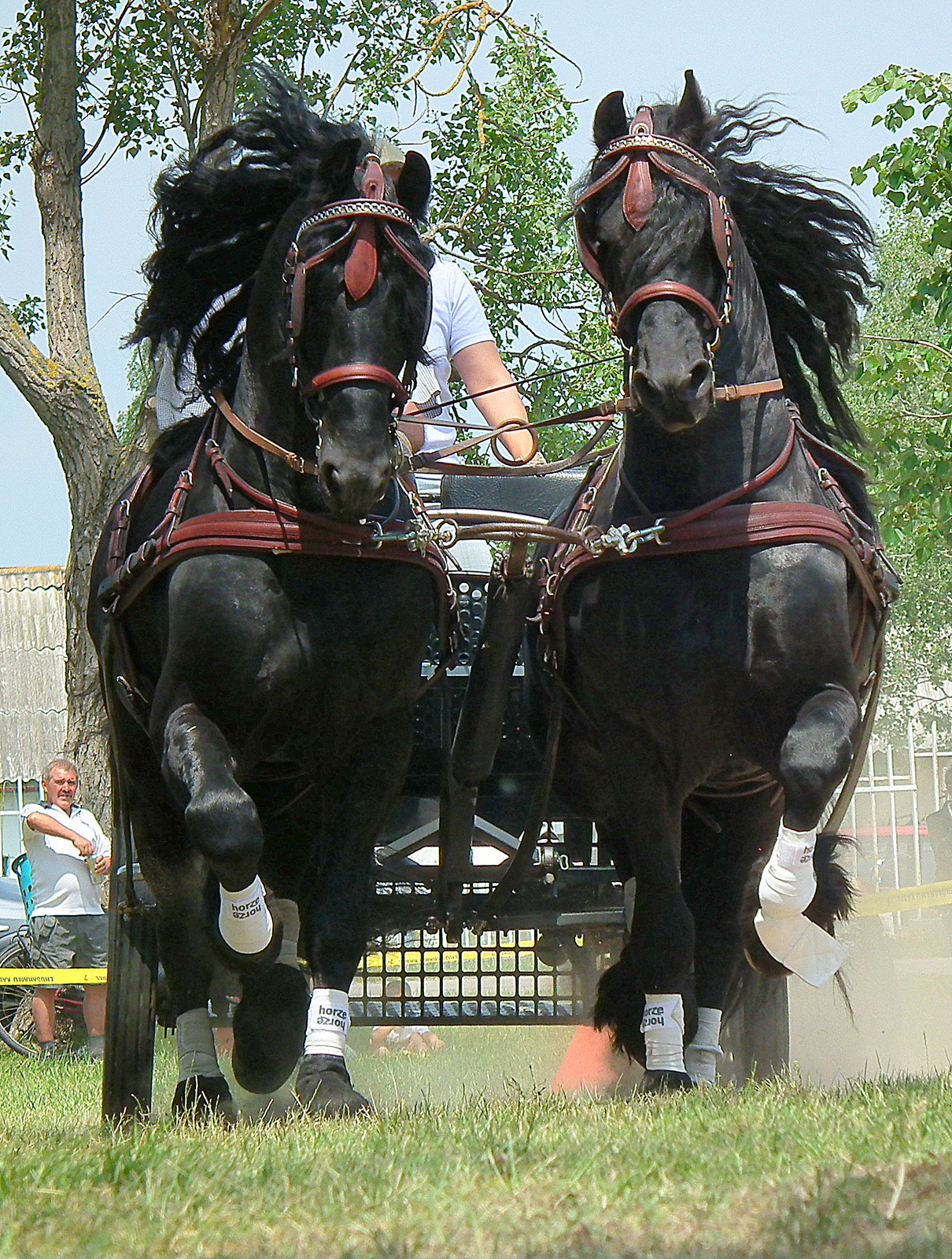 Tökéletes összhang