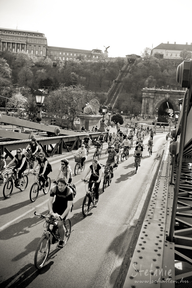 Critical Mass 2013