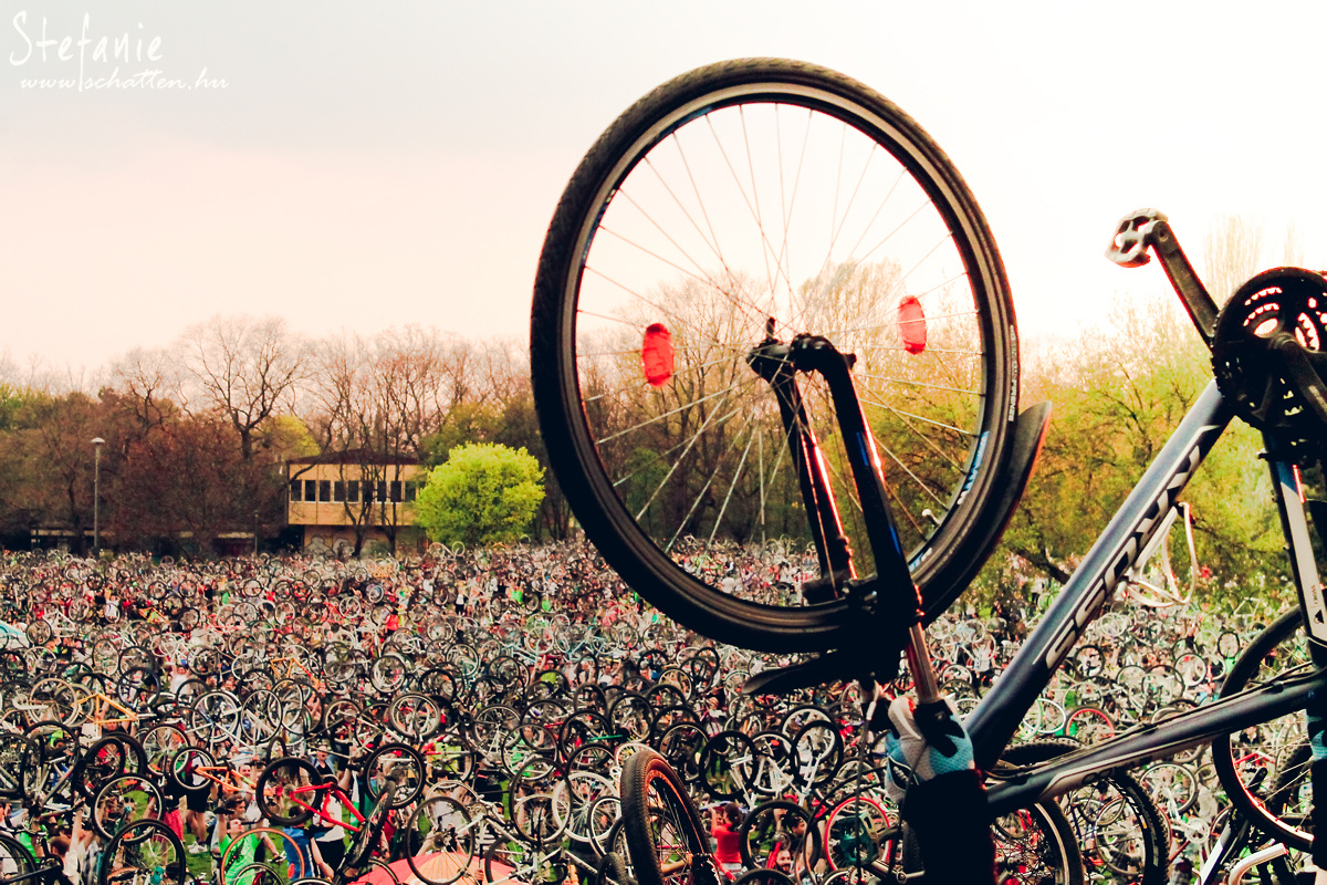 Critical Mass 2013