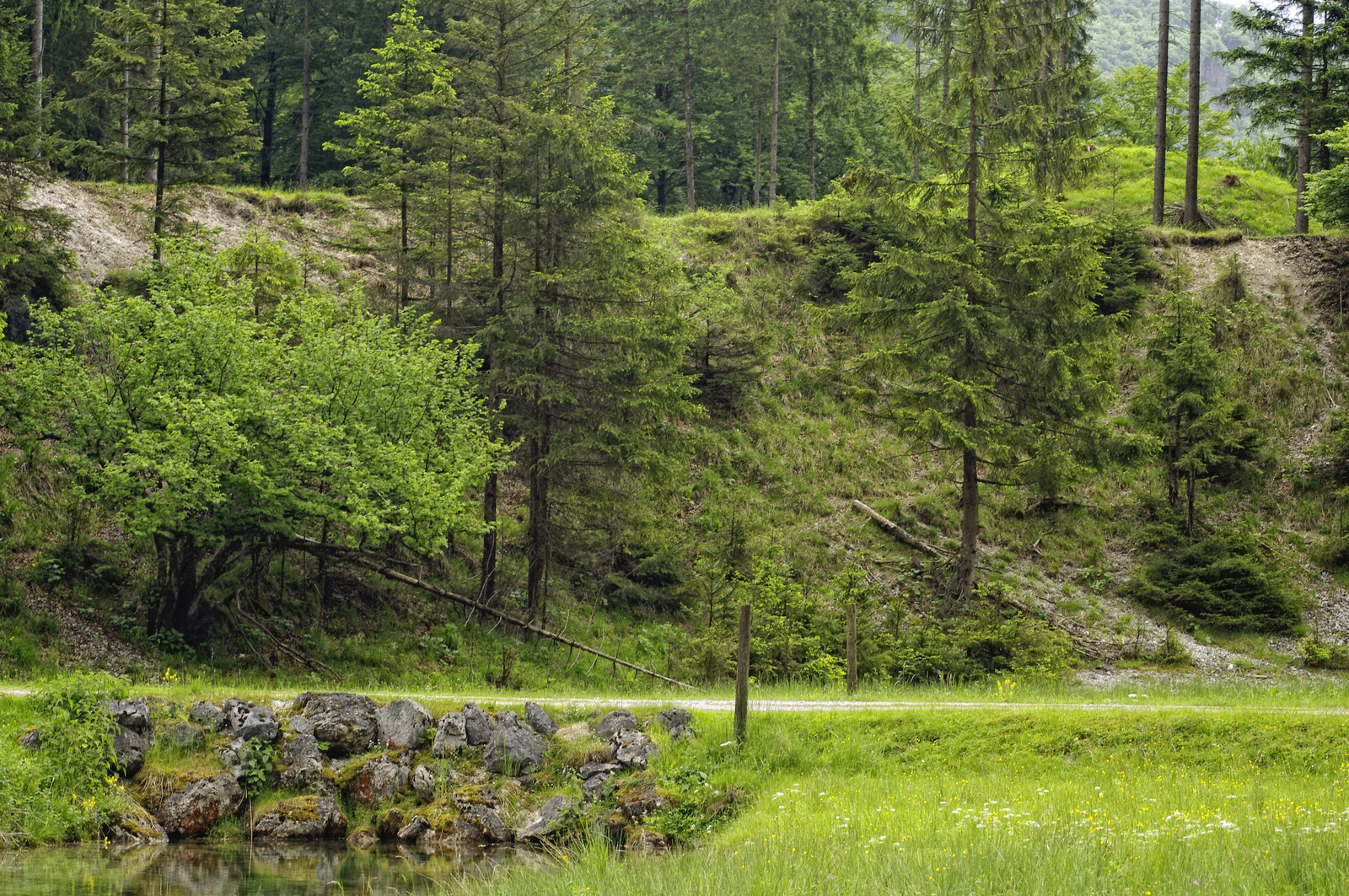 Cumberland Wild Park - Grünau