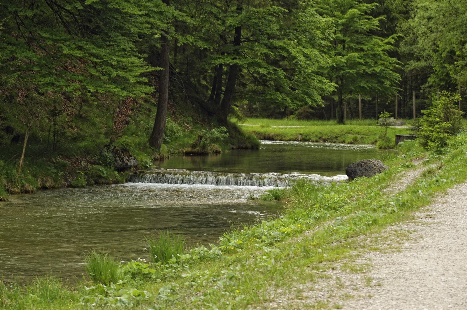 Cumberland Wild Park - Grünau