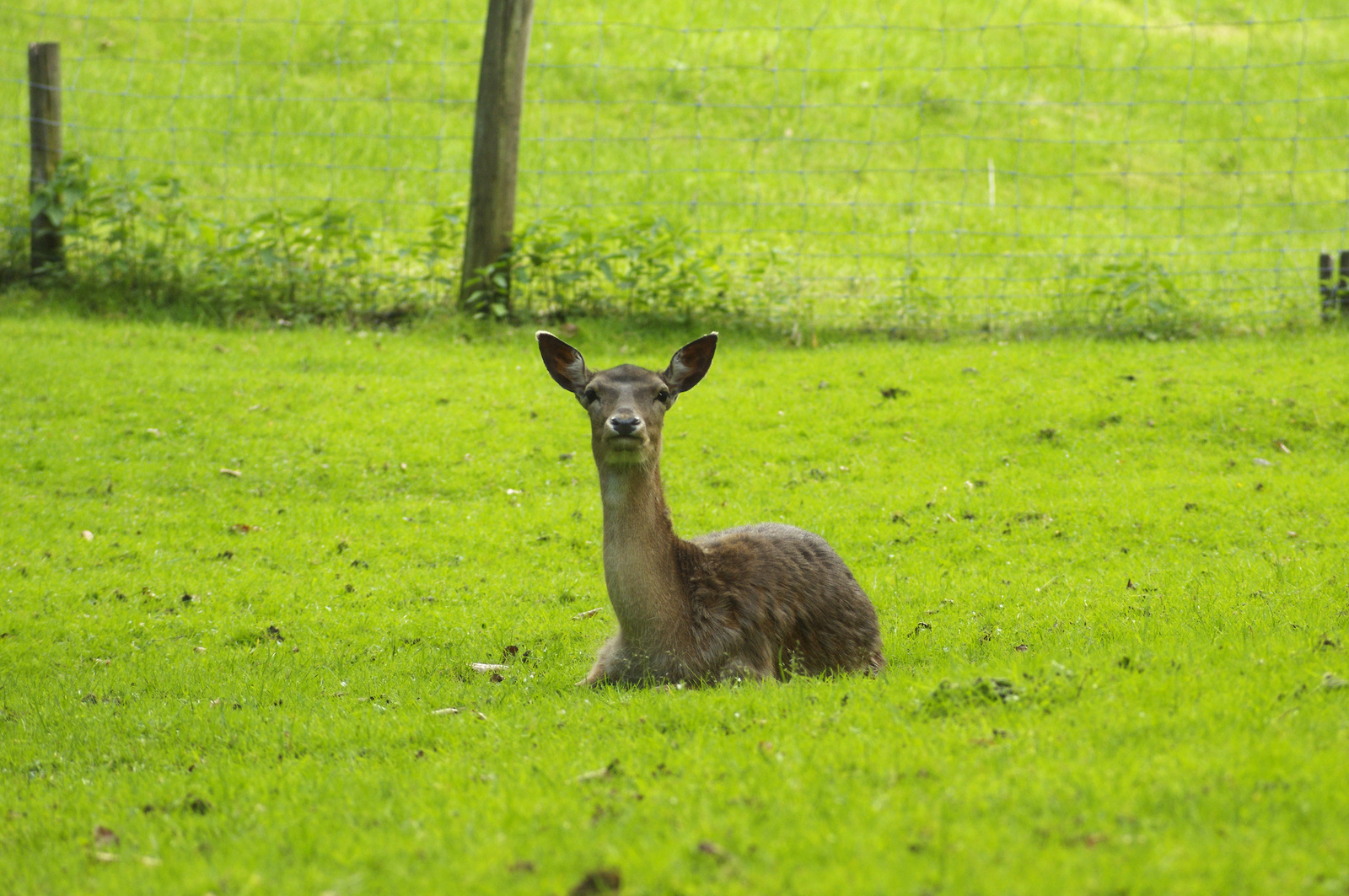 Cumberland Wild Park - Grünau