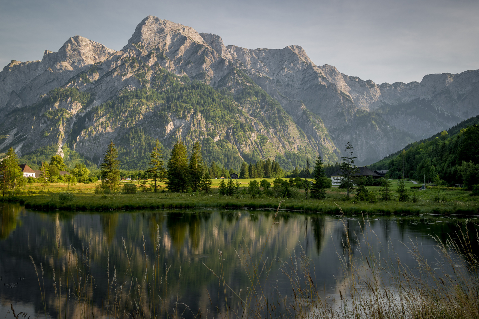 Almsee-0818