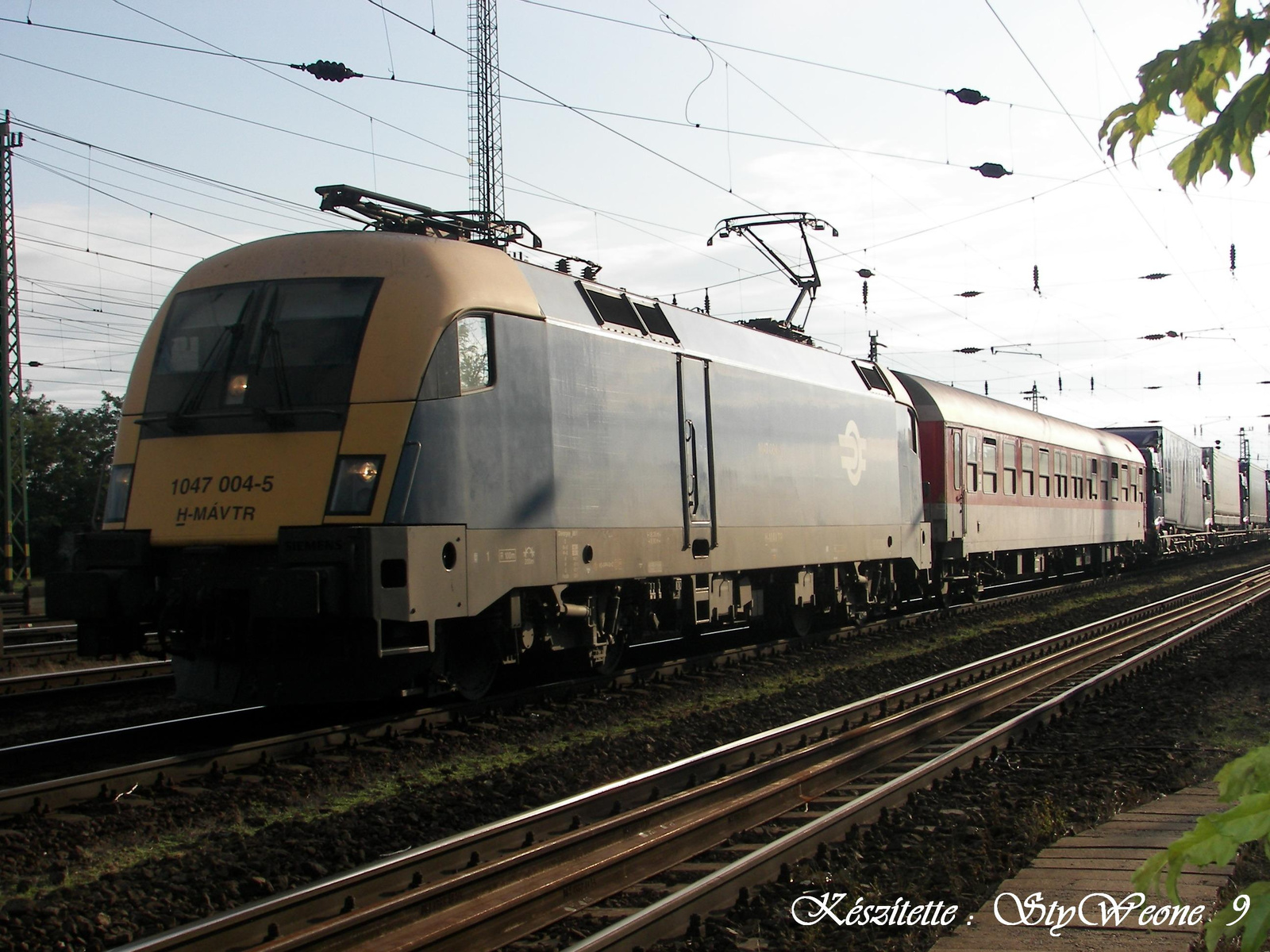 1047 004-5 Rola 2011.07.25