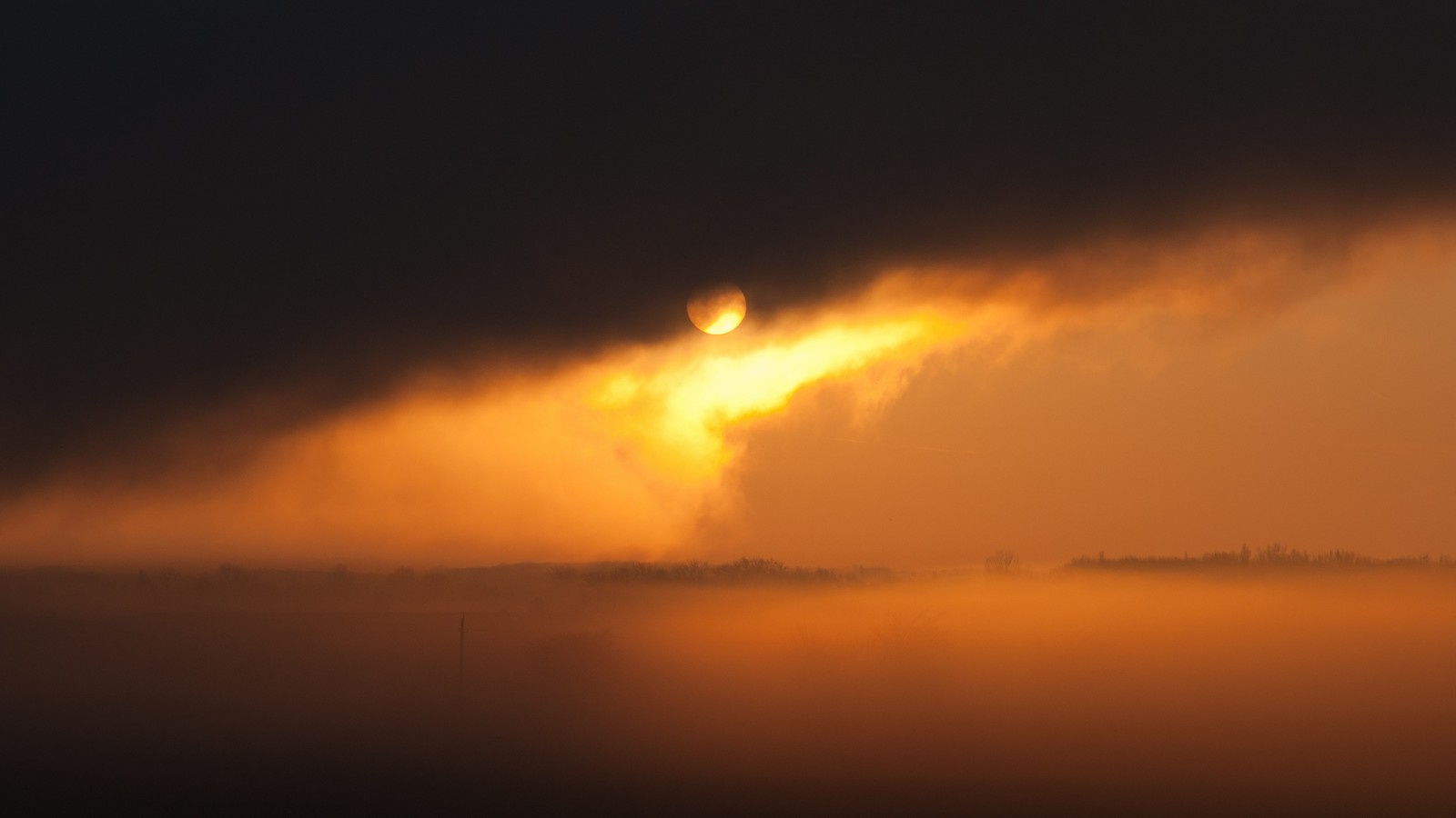 hajnali köd