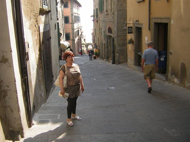 cortona3