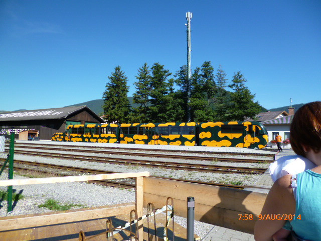 Puchberg am Schneeberg (25)