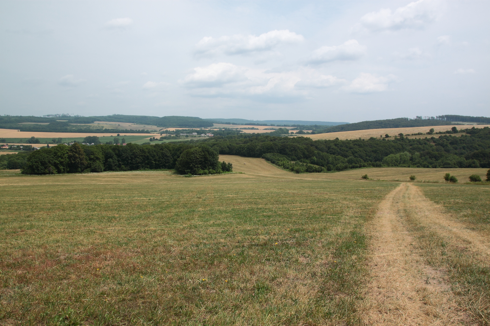 Bakonyi lankák