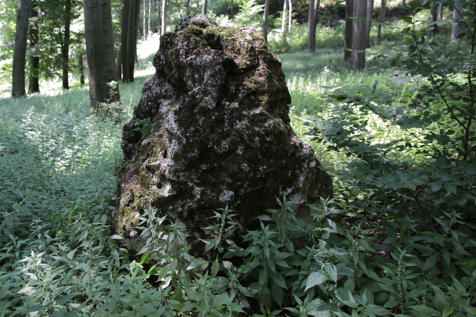 Csalán őrzi a követ