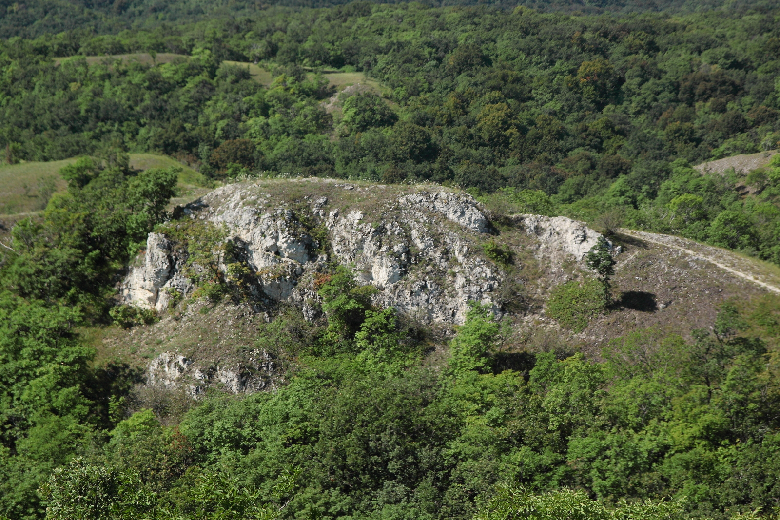 Szikla,közelebbről