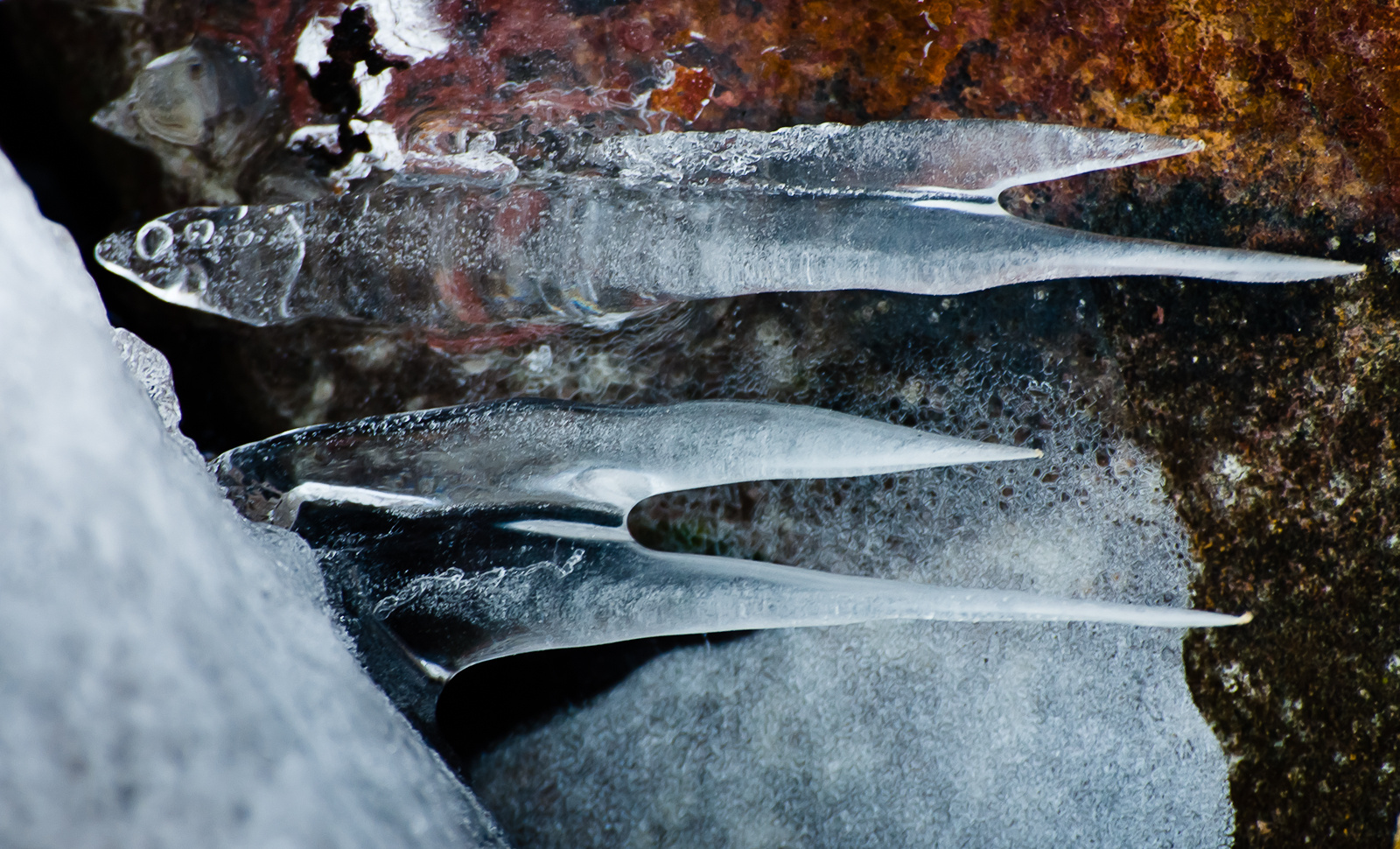 jég-halak