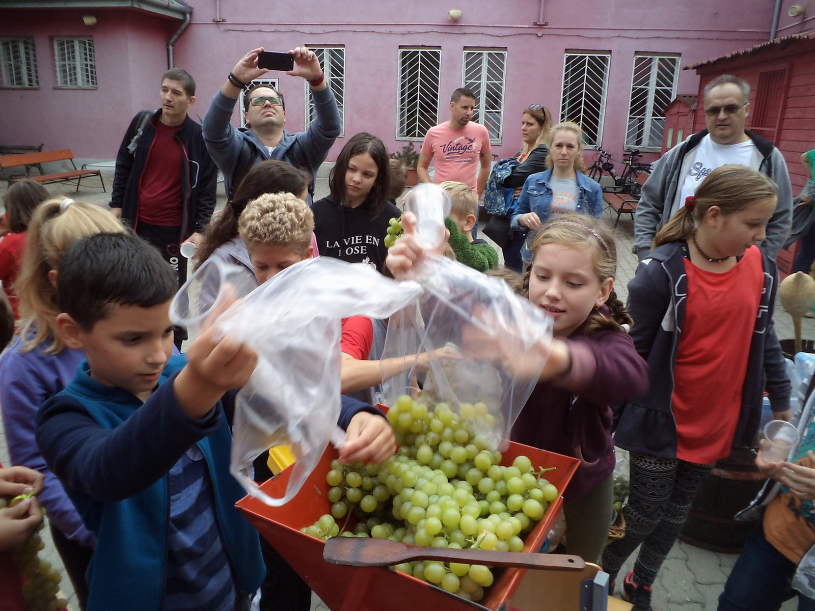 2019 2020 05 Családi nap - Szüret 090