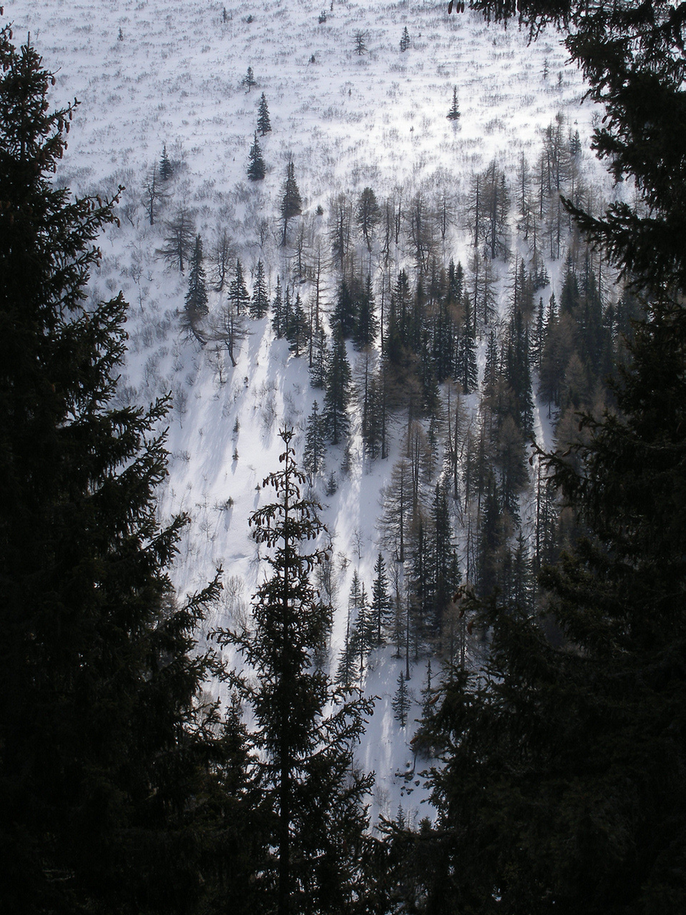 20080405 Ameringkogel-Grössenberg  014 P4059923