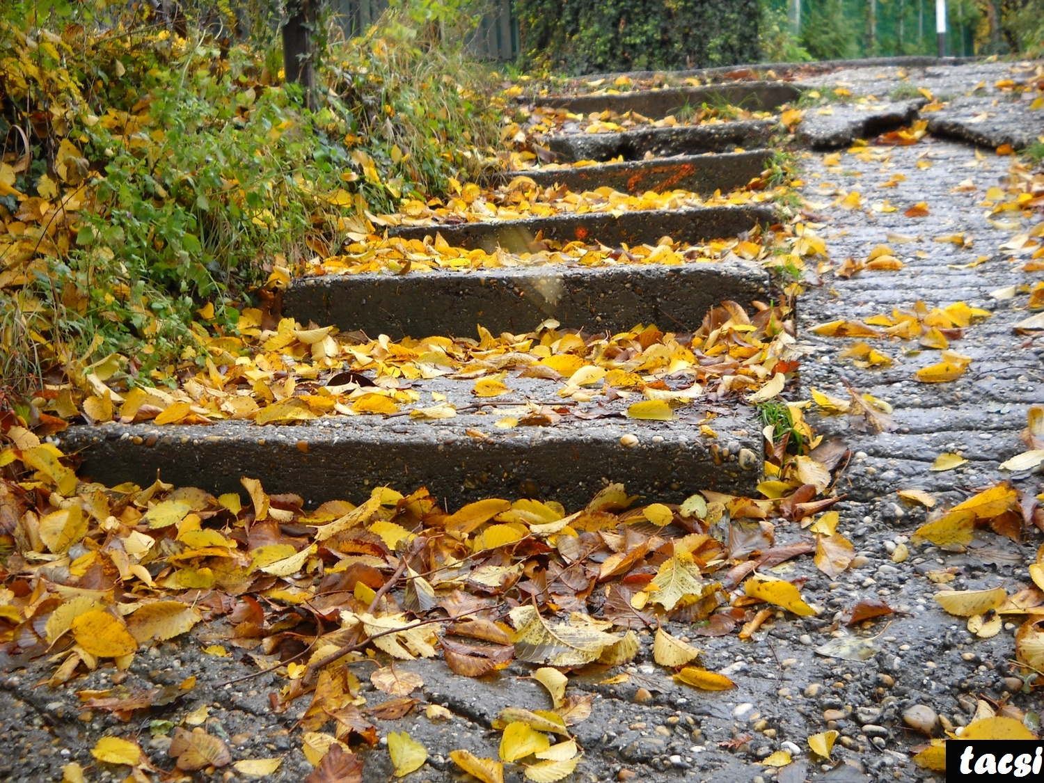 Novemberi séta az Alsólőverekben 1.