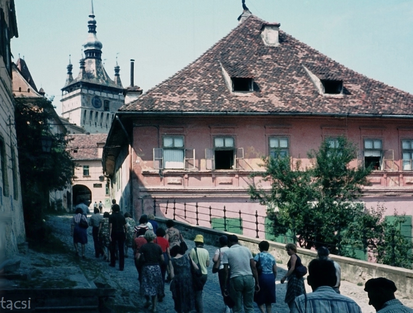 1981. Segesvár