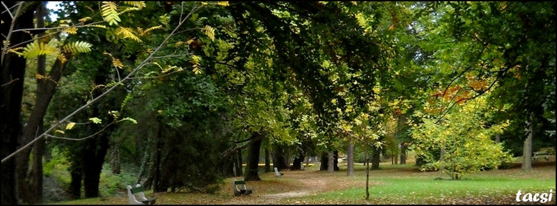 Októberi park- fejléc