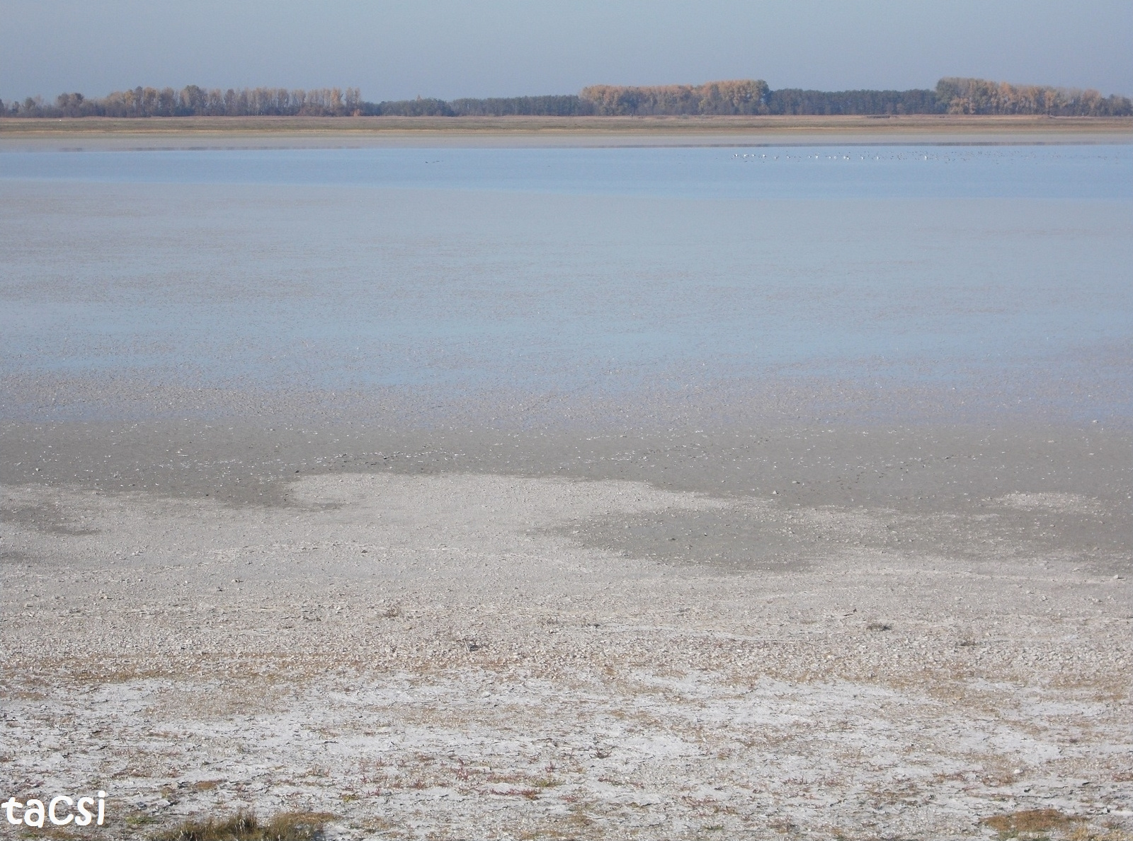 07. A nagy sós tocsogó (Lange Lacke-Ausztria) látványa