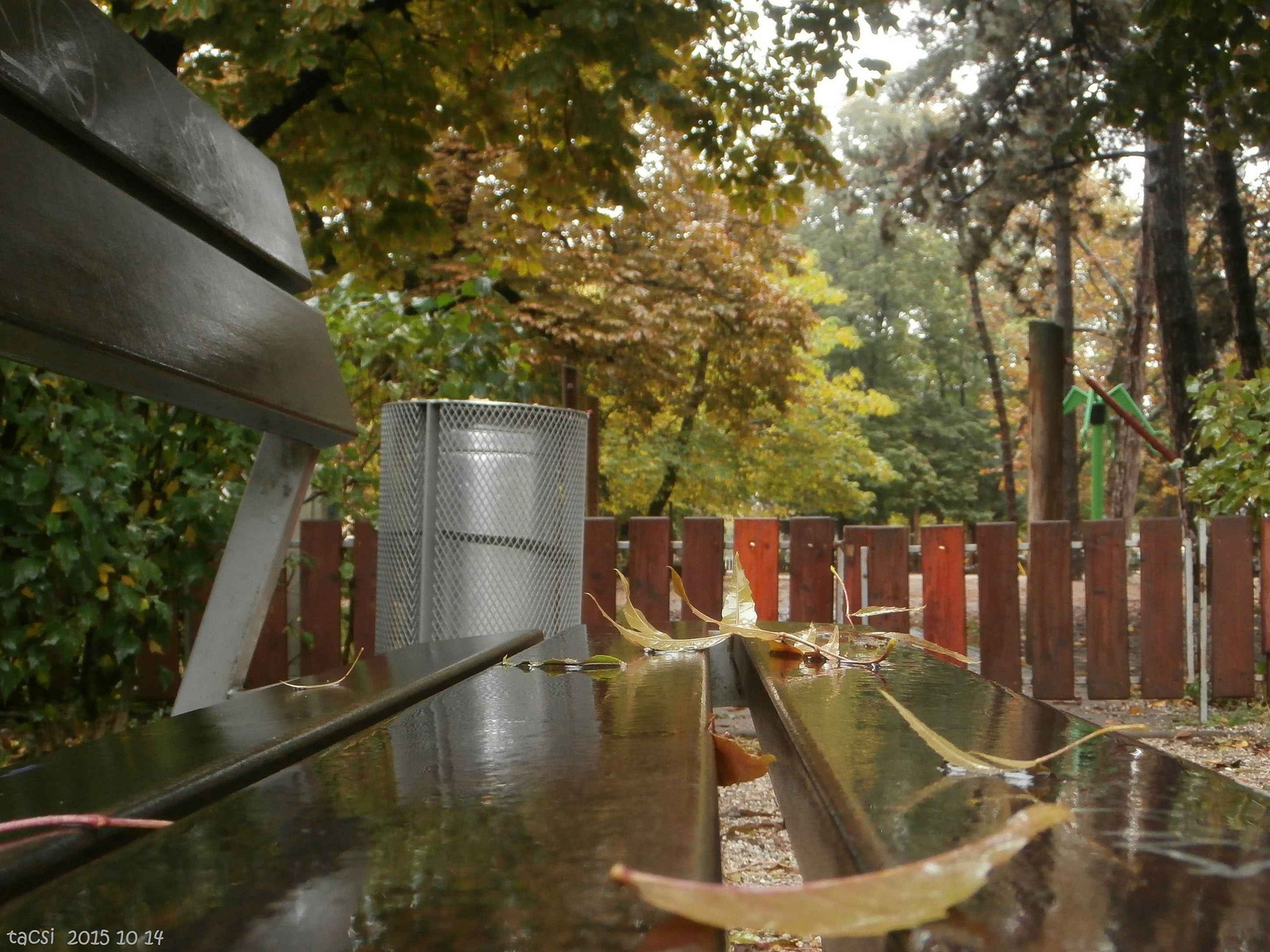Séta őszi esőben (4)