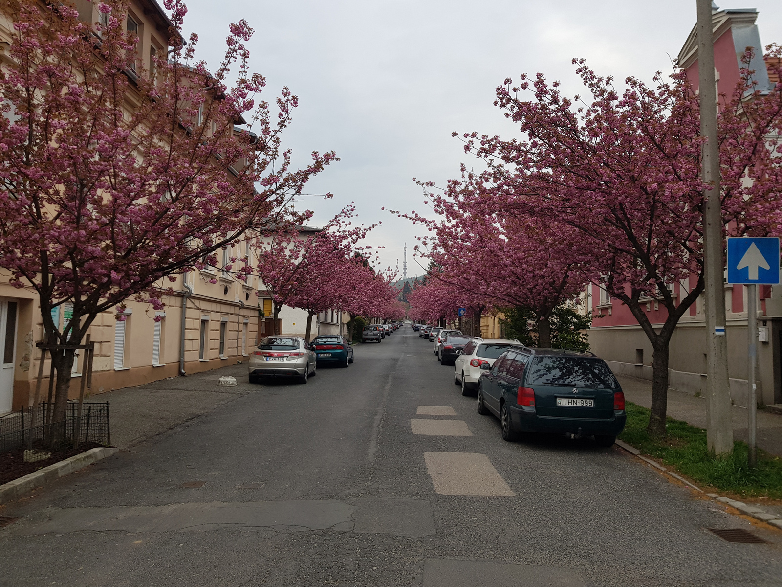 Alsólővér utca, Sopron