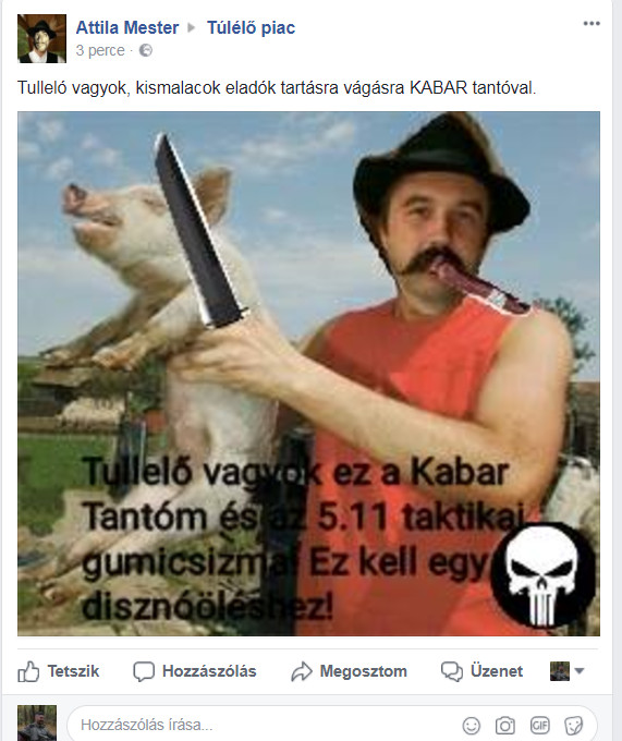 házitroll2.PNG