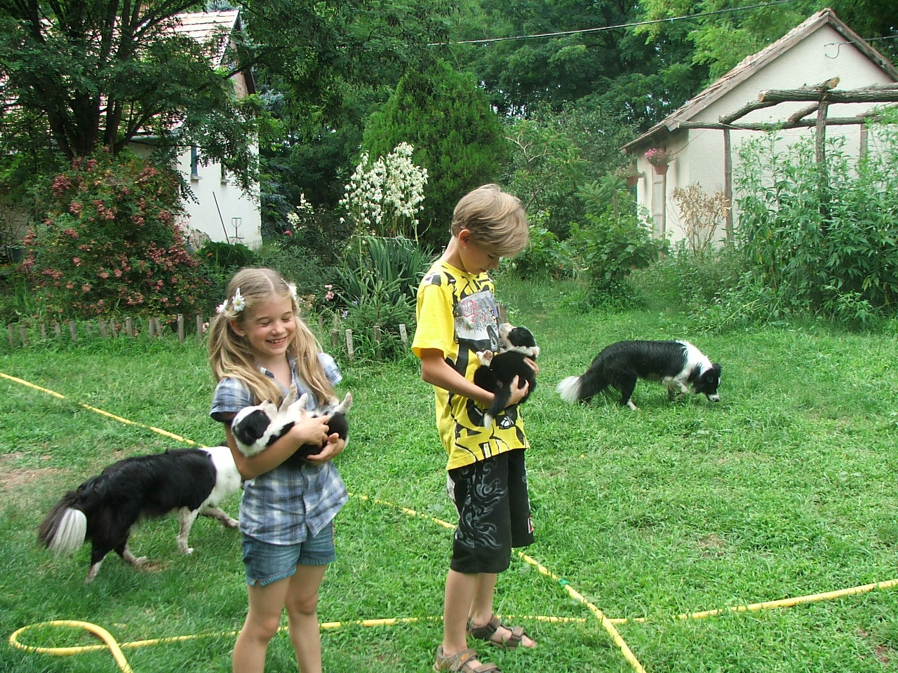 2011 .Lajosmizse-Forestry Farm 063