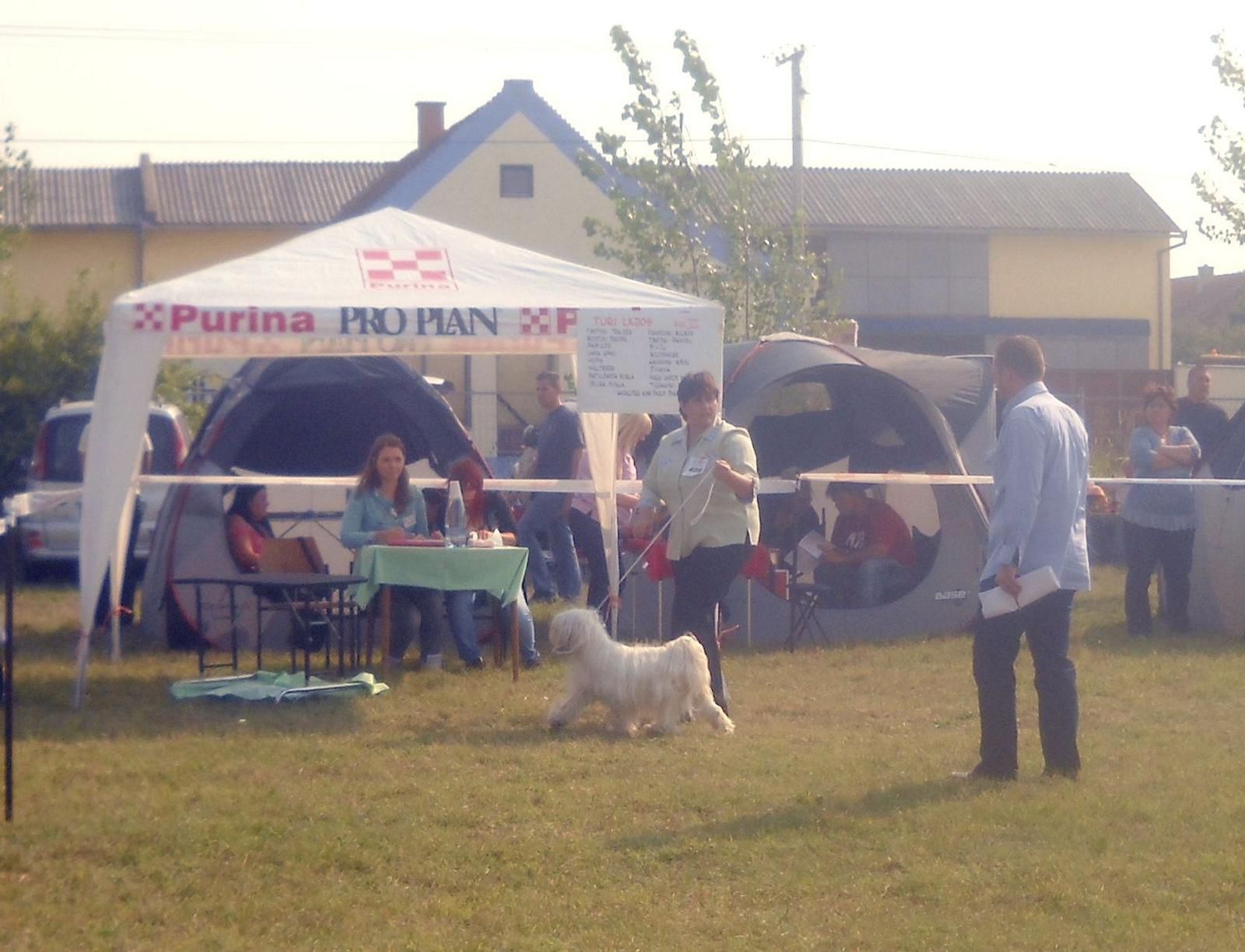 2011.09.18.Bačka Topola CACIB Tibeti Terrier biralatok 05