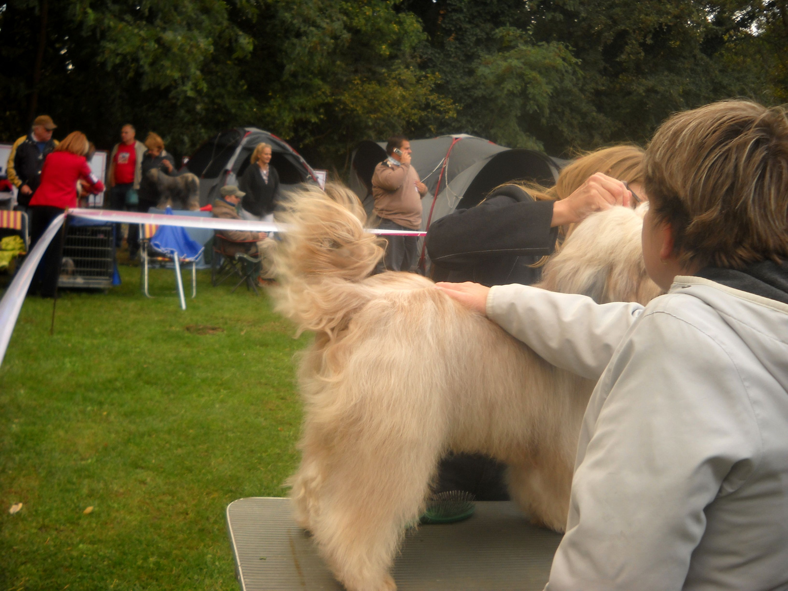 2011.10.08.TTT Speciális CAC növendék kan Goldboy 07