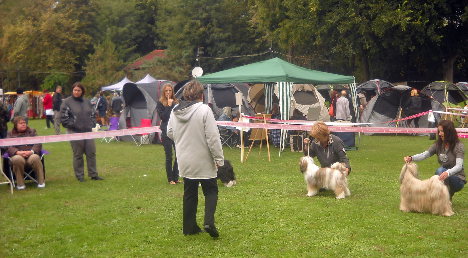 2011.10.08.TTT Speciális CAC összevetés a Legszebb Szuka címért.