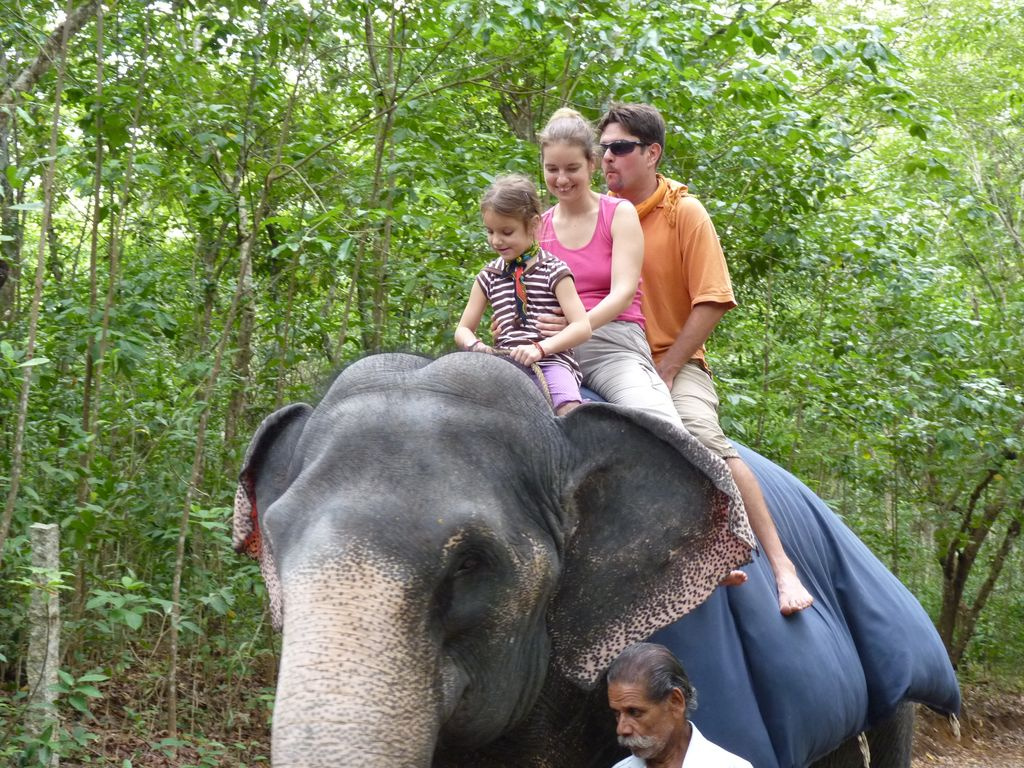 Indiai elefánt - 22