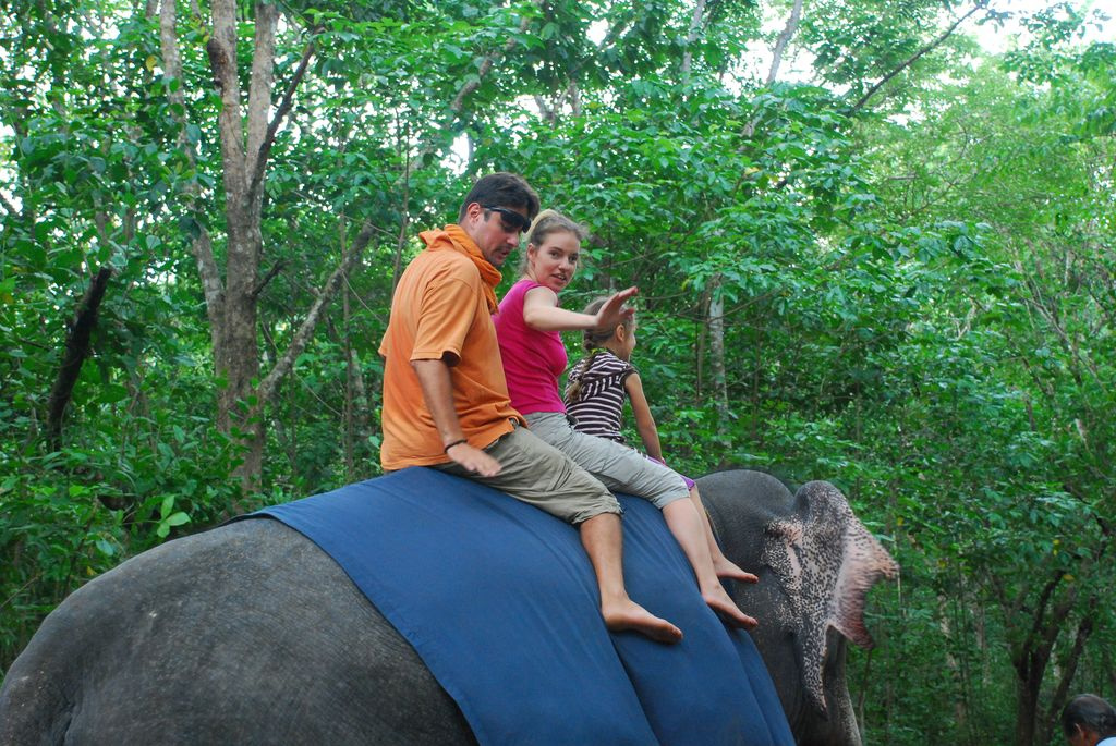Indiai elefánt - 38